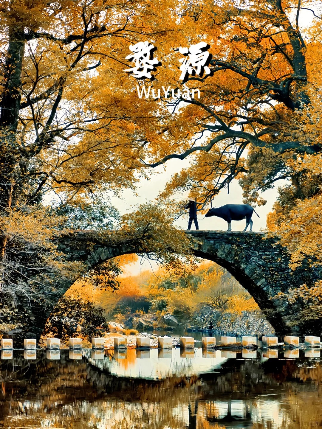 官宣❗️2024婺源秋季旅行时间表❗️超全攻略_1_中国最美乡村-婺源_婺源-古镇-来自52tours 我爱旅游网